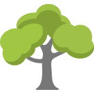 Richland Tree Removal