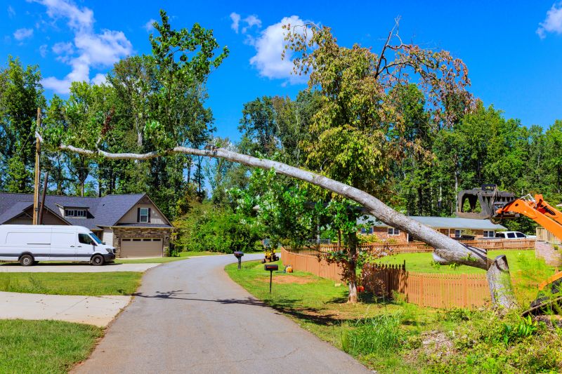 Cost of Emergency Tree Removal in Richland, WA
