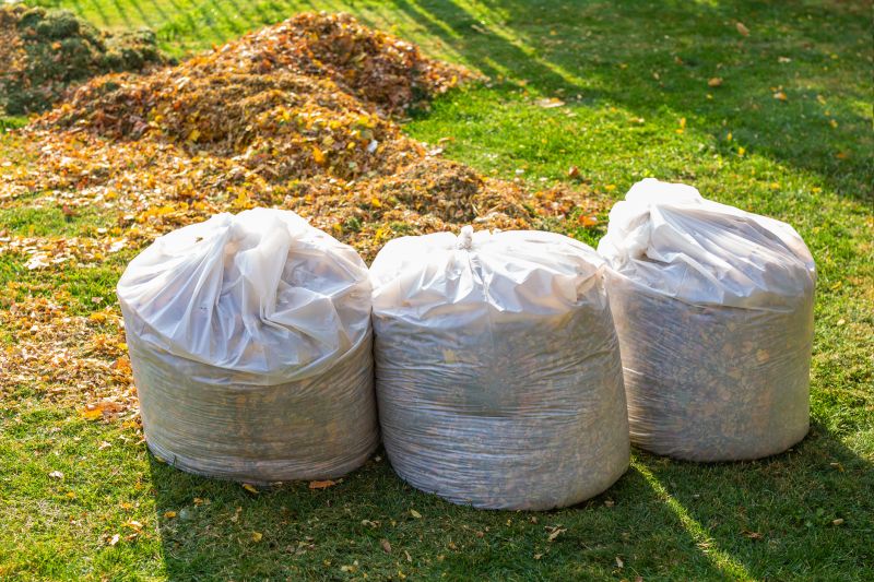 Debris Management