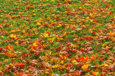 Seasonal Property Care