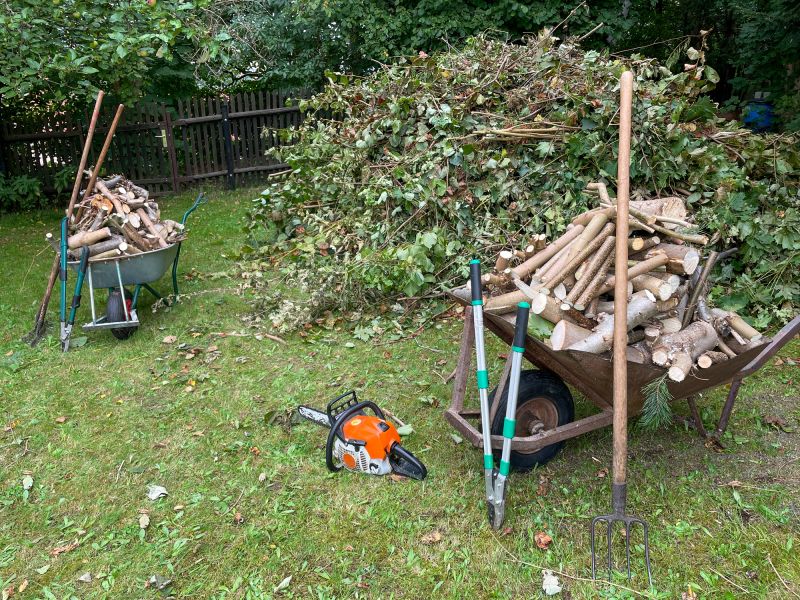 Small Tree Removal