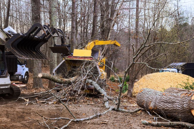 Tree Disposal Options